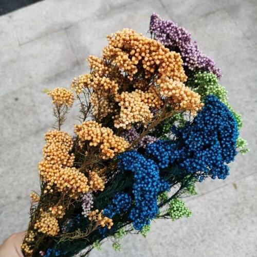 80g/30-40cm,Natural Preserved Mi Flower Bouque,Display Flower for Wedding Party Home Decoration accessories,arrange flowers