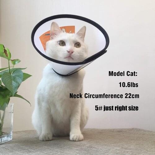 Wound Healing Practical Neck Cover Adjustable Recovery Pet Cone Collar for Cats Puppy Plastic Elizabeth Protective Cat Collar