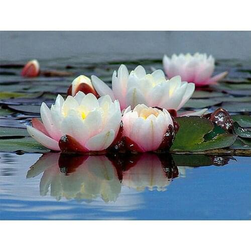 NEW DIY Square/Round Diamond Diamond Painting Cross Stitch Mosaic Full Frame Embroidery "Lotus" Diamond Embroidery for sale