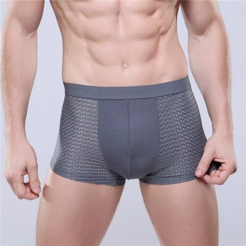 2pcs Mens Ice Silk Breathable Underwear Mens Mesh Pants Transparent Boxershorts Men Boxer Shorts Hombre Trunk Underwears