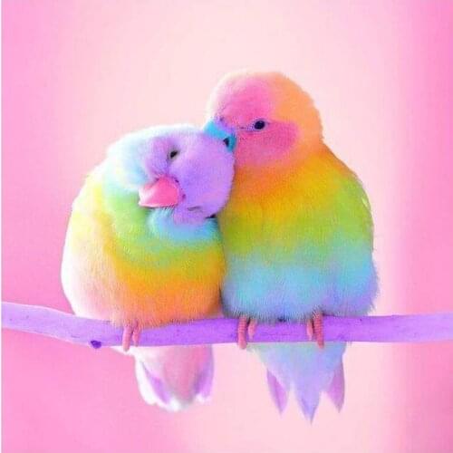 SHANSHIYOUPIN Full Round Drill 5D DIY Diamond Painting "Colored bird" Embroidery Cross Stitch 3D Diamond Mosaic Home Decor