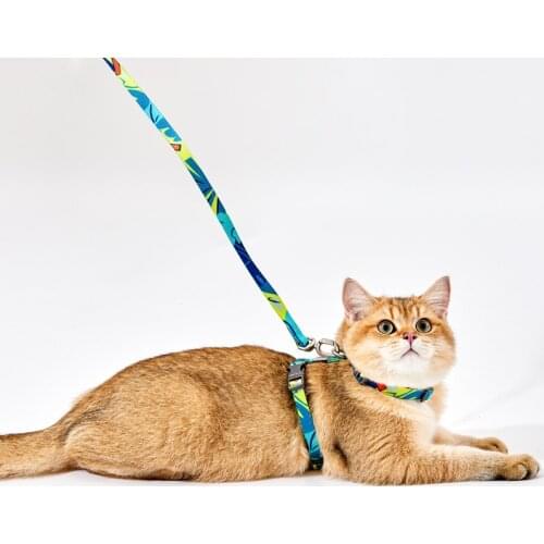 Genuine PETKIT Pet Leash Collar Cat Lead Dog Accessories Hardness Cat walking rope vest-style chest strap anti breaking loose