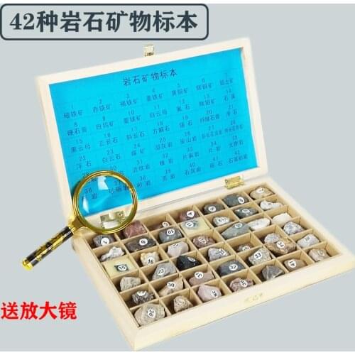 42 Kinds Mineral Rock Ore Fossil Specimens Geological Research Classroom Supplies