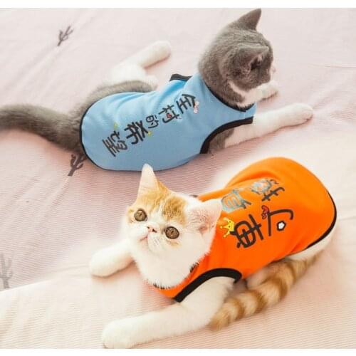 Cat Clothing Breathable Thin Mesh Vest Dog Clothing Cat Breathable Pet Clothing Spring And Summer