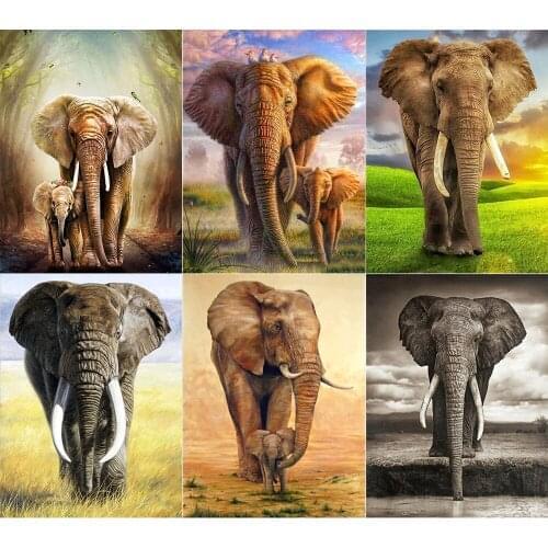 5D DIY Diamond Painting Elephant Animal New Product Round Diamond Inlaid Rhinestone Embroidery Decoration Home Gift