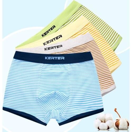 4pcs Boys Underwear Elastic Cotton Boxers Boys Clothes Comfortable Boy Shorts Bottoms for 3 4 6 8 10 12 Years Old RKU173003