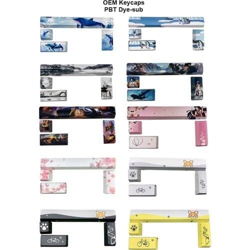 4 PCS 5-Side Dye-Sublimated PBT Keycaps Spacebar Novelty OEM Profile Fit Cherryy MX Switches of Mechanical Keyboards