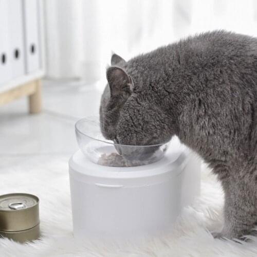 Pet Double Bowl With Elevated Stand Cat Dog Raised Feeder Detachable Food Water Cat Bowl Oblique Transparent Plastic Pet Bowl