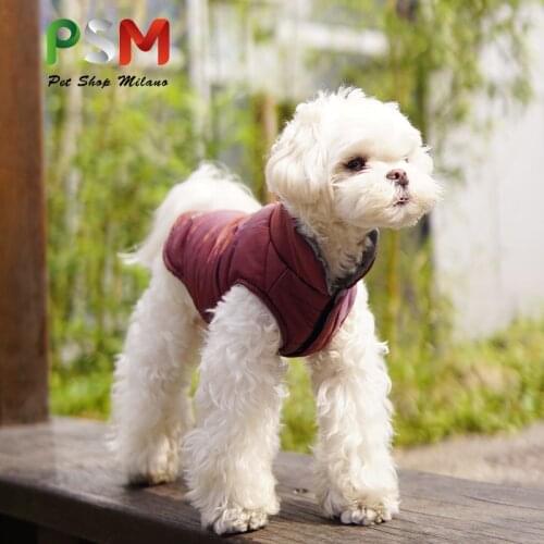 Pet vest warm gradient colorful vest thickened two legged cotton padded pet autumn winter pet clothes dog hoodie lace hoodies