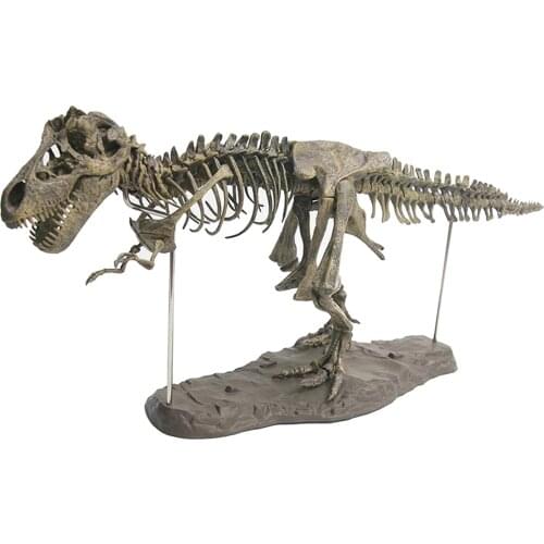 4D Dinosaur Skeleton Model Blocks Kit Unassembled Gift for Kids Boys Girls
