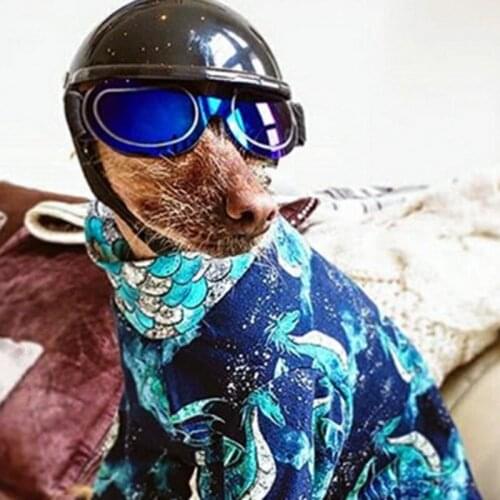 1pcs Cute Pet Dog Glasses Cat Glasses Pet Products Dog UV Sunglasses Pet Accessoires Foldable Ski Pet Supplies