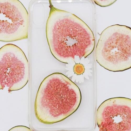 2pcs,Natural Pressed ficus carica slice,Real Fruit for DIY wedding birthday Gift Cards,phone shell decoration, plant specimen