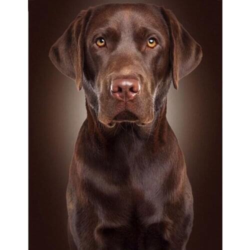 5D DIY Diamond Painting Full Square/Round Labrador Brown Dog Diamond Embroidery Handmade Home Decoration Mosaic Creative Art