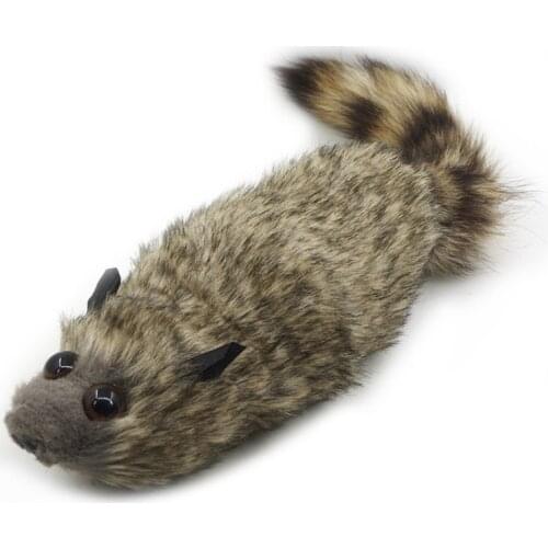 The Rocky Raccoon,Robbie - Magic Tricks,Props,Comedy,Mentalism,Gimmick,Close Up,Party Trick,Magic Toys,Kids Magia Show