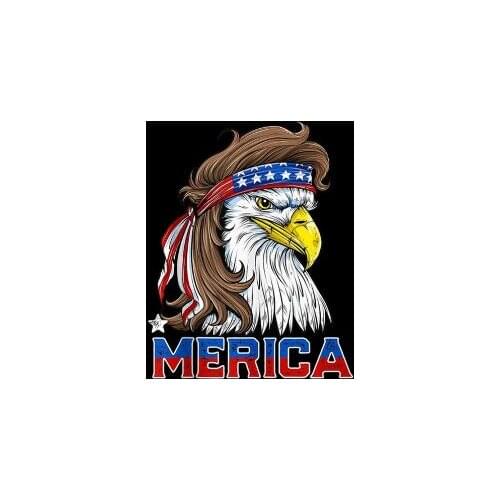 America FLAG 90x150cm 100D polyester With Bird custom flag banner