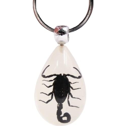 Creative Luminous Ant Scorpion Keychain - New Luminous Product Real Crab and Scorpion Key Chain Bag Car Key Ring