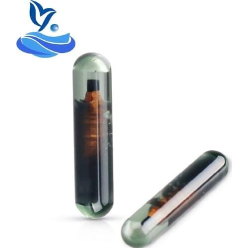 ID13 Glass Chip Blank Transponder Chip ID13 Chip Glass Car Key Chips