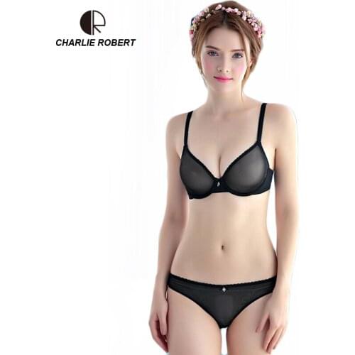CR New Ultra-Thin Mesh Lace Lingerie Set Push Up Plus Size 95D Sexy Lingerie Women Transparent Bra Sets Free shipping