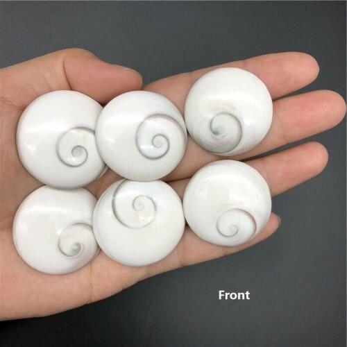 Wholesale 1PC Natural Round Shaped Sun Shell DIY Mineral Healing Stones Decor Crafts Natural Quartz Crystals