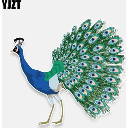 YJZT 14.3*13.1CM Interesting Peacock Decor Car Modelling Sticker Accessories Colored Personalized 11A0038