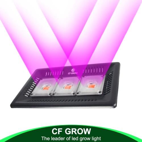 CF Grow Hydroponics