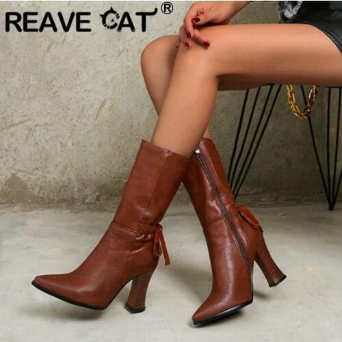 REAVE CAT New Mid-Calf Boots Pointed Toe 9cm High Wood Heels Zip Lace-Up Simple Classic Big Size Warm Winter Brown A3287