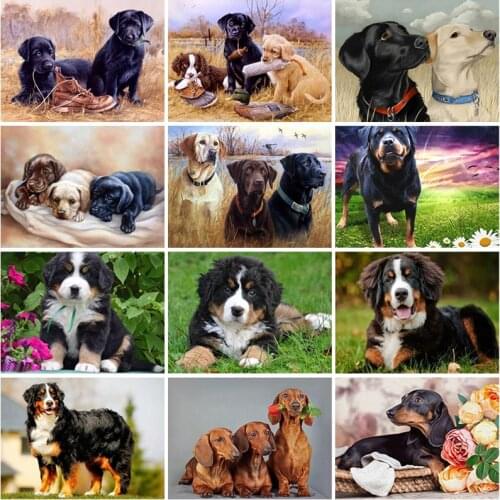 5D Diamond Painting Rhinestone DIY Full Square Round Drill Dog Diamond Embroidery Animal Cross Stitch Mosaic Home Decor Art Gift