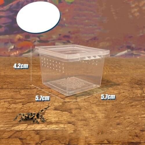 Feeding Box Reptile Cage Hatching Container Rearing Tank Clear Reptile Vivarium Terrarium Insect Rearing Box Food Feeding Box