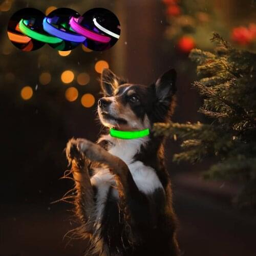 OIMG Collars