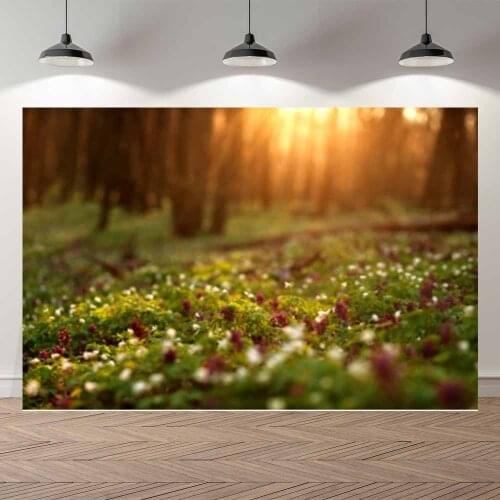 Seekpro Spring Grass Land Forest Sun Light Flowers Trees Happy Easter Party Professional Studio Photography Backdrop Background