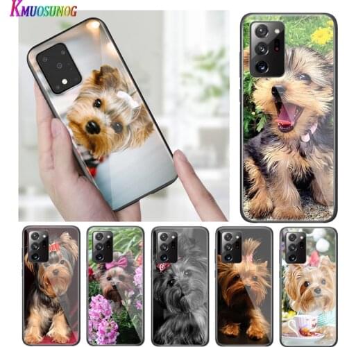 Bright Black Cover Yorkshire Terrier Dog for Samsung S20 Ultra Plus A91 A81 A71 A51 A41 A31 A21 A21S A11 5G Phone Case