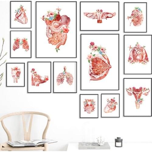 Flower Breast Uterus Kidney Liver Anatomy Wall Art Canvas Painting Nordic Posters And Prints Pictures For Doctors Office Decor