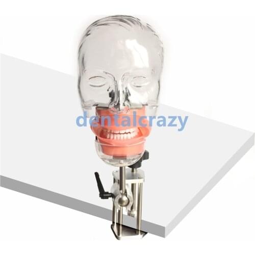 Dental simulator Nissin manikin phantom head Dental phantom head model with new style bench mount for dentist education