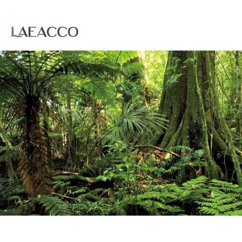 Laeacco Tropical Rain Forest Tree Moss Shrub Scenic View Photozone Photographic Background Photography Backdrop For Photo Studio