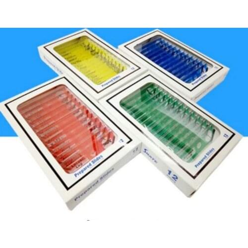 4box/lot Microscope Plastic Slides, Biological Specimen slides safe for Children