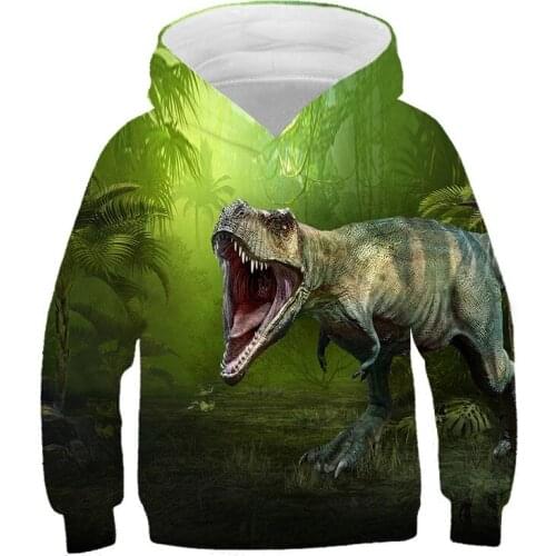 Animal Kingdom Dinosaur World 3d Hoodies Children Pullover Cartoon Sweatshirt Boys and Girls Hoodies Hot Sale Dinosaur Clothing