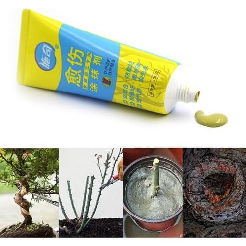100g Tree Wound Bonsai Cut Paste Smear Agent Pruning Compound Sealer with Brush E7CB