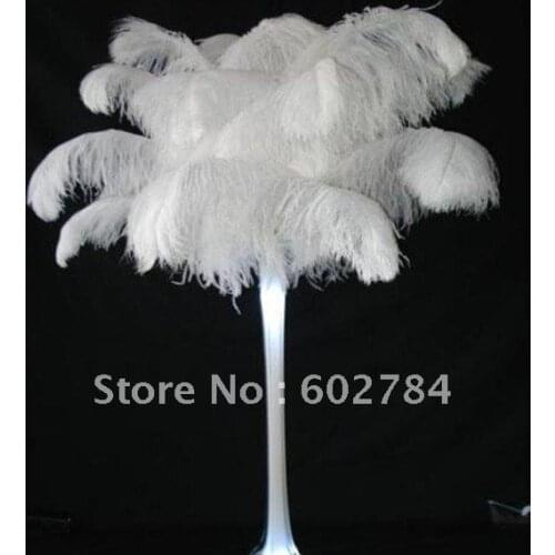 EMS Free shipping 50pcs/ lot 22-24inch 55-60cm white ostrich feather wholesale