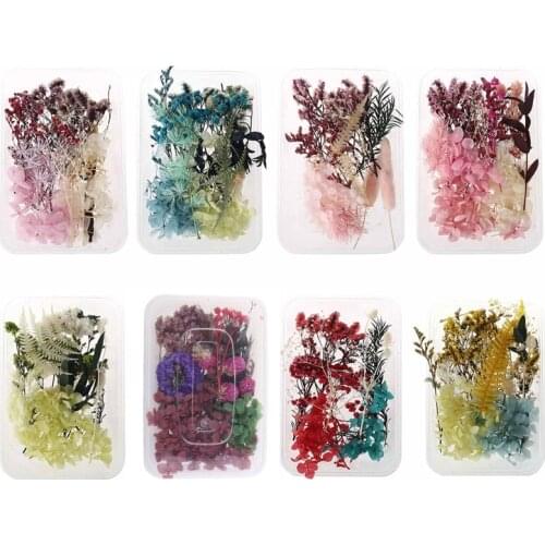 1 Box Real Mix Dried Flowers for Resin Jewellery Dry Plants Pressed Flower