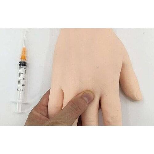 Life Size Anatomical Phlebotomy Venipuncture Practice Arm anatomyInjection practice Medical Simulator Nurse Training kit