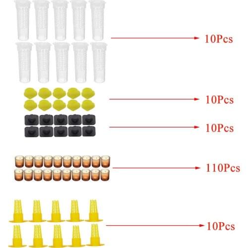 1Set Complete Queen Rearing Kit System King Bees Protection Cages Cover Cells Base Celular Plastic Tools Supplies Beekeeping