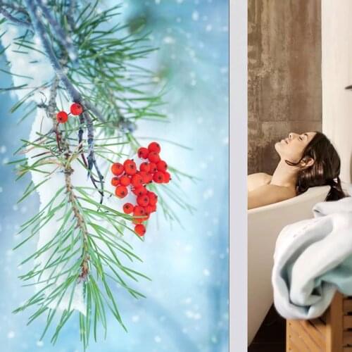 Custom Size Frosted Window Film Privacy Sticker Window Stickers Stained Glass Opaque Static Cling Winter Red Fruits Tree Snow