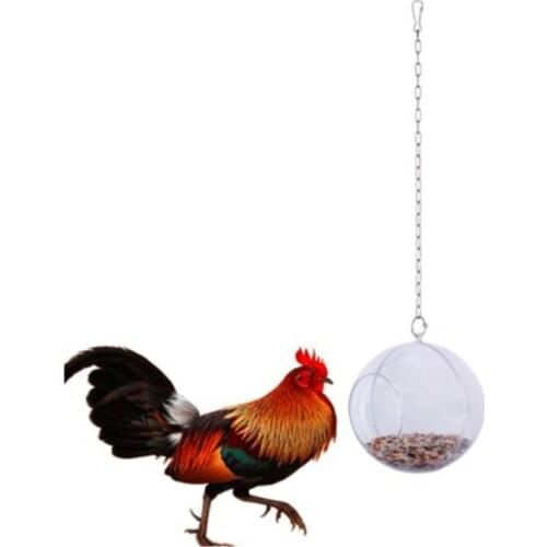 Bird Hanging Feeder Chicken Hen Pet Foraging Food Holder Veggies Fruit Dispenser