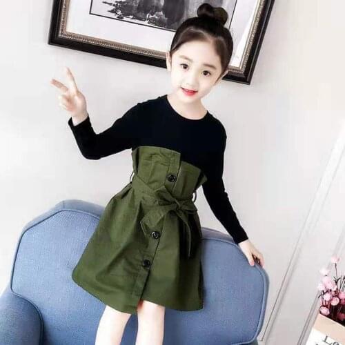 Age For 6 7 8 9 10 11 12 Years Kids Baby Girls Clothes Spring Autumn Cute 2 Colors Dresses Children Clothes Casual Girls Dress