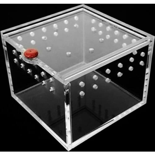 Spider Box Reptile Crawl Pet Feeding Gecko Lizard Silkworm Scorpion Unicorn Beetle Insect Black Acrylic