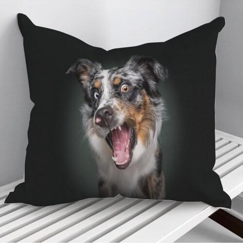 Aris Throw Pillows Cushion Cover On Sofa Home Decor 45*45cm 40*40cm Gift Pillowcase Cojines Dropshipping