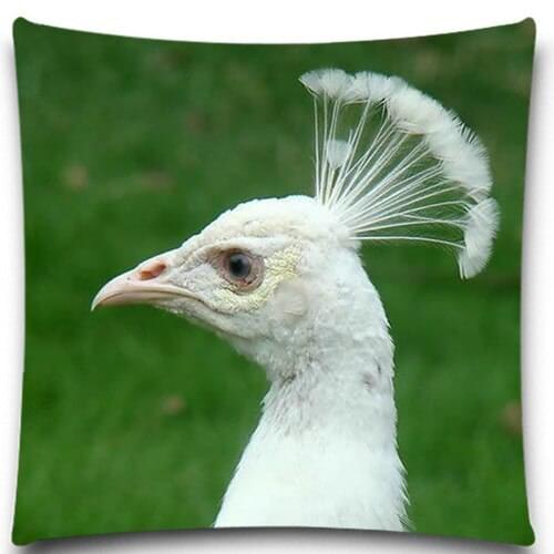 The White Peacock with a crown 2D print creative Pillow case Square cotton polyester cushion cover 5 size 9 style