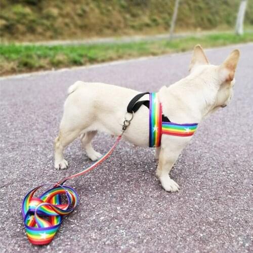 Pet Rainbow Harness Vest with Handle Adjustable Small Dog Paw Print for Pet Puppy 1 Set Nylon Harness Harness and Leash set