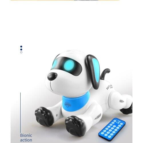 LEKYLUKY Radio Controlled Robots