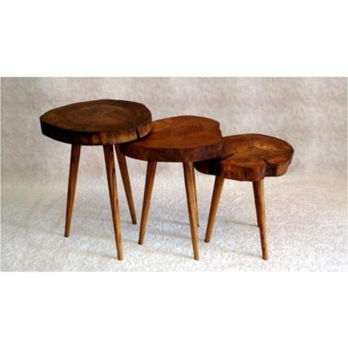 Modern Natural Wood Solid Decorative 3 Pcs Zigon Coffee table (Tree Foot) coffe table
